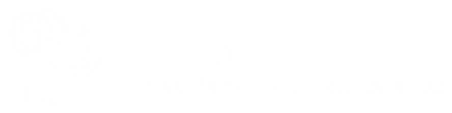 RAM-BELL Tree Service & Landscapes